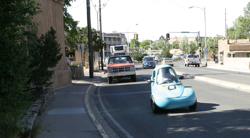 Sparrow Sighting in Santa Fe