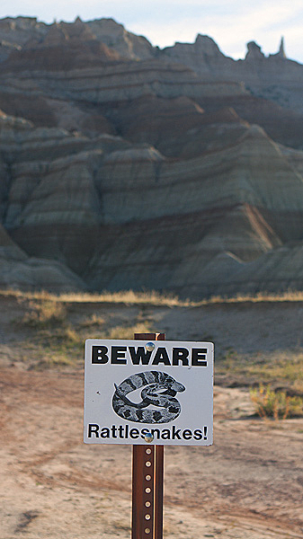 In the NW, bears. Here, snakes. Badlands, SD