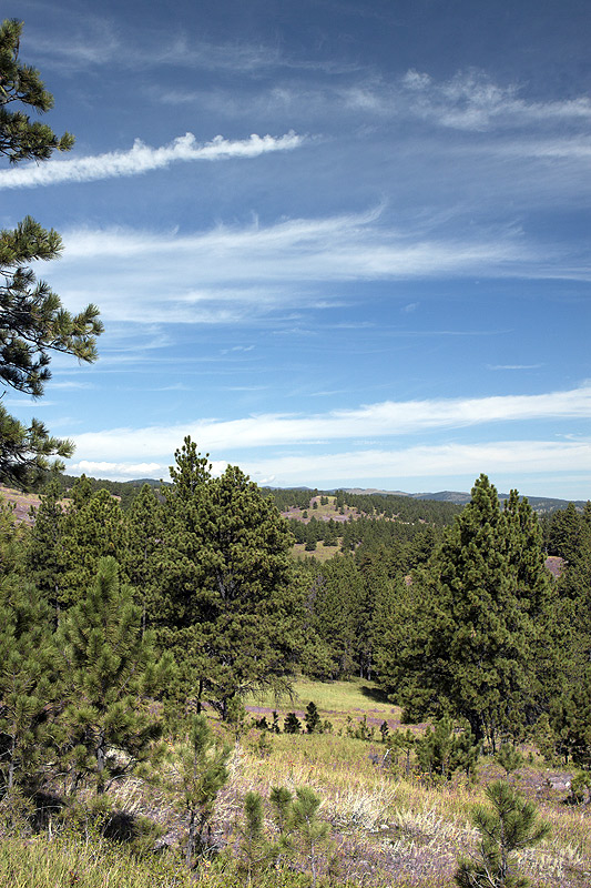 Black HIlls foothills, looking NE