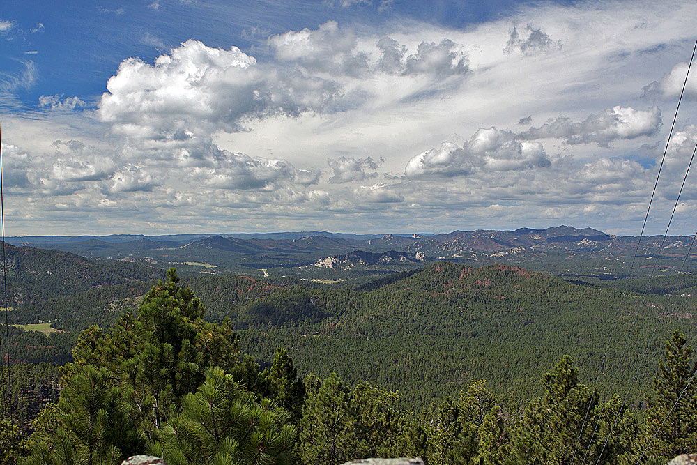 Custer State Park, SD