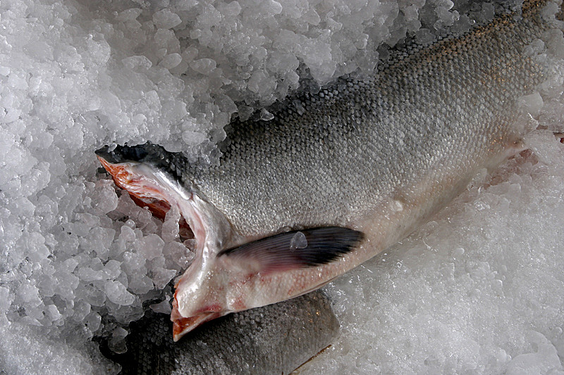 Salmon, Pike Place Market