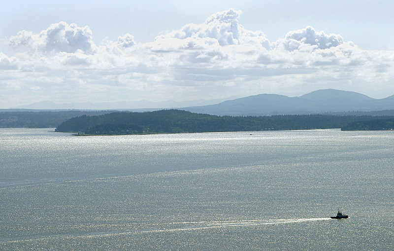 Shot from Space Needle, Seattle