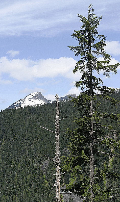 Mount Rainier National Park, Washington