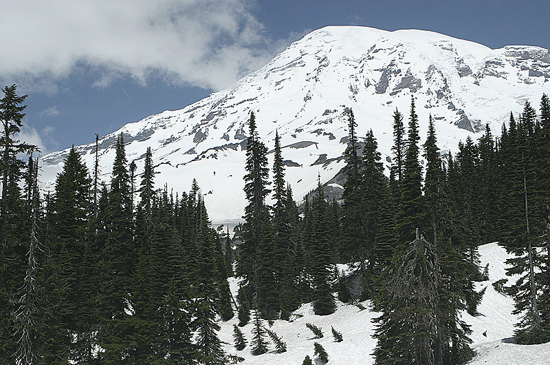 Mount Rainier from Southern Vista