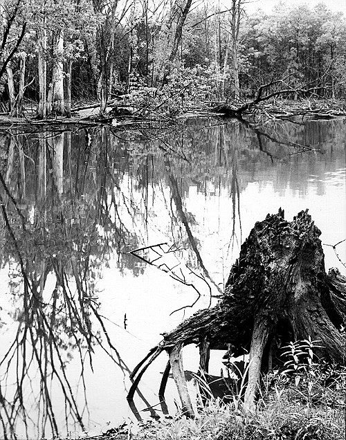 Skokie Lagoons, Glencoe, IL