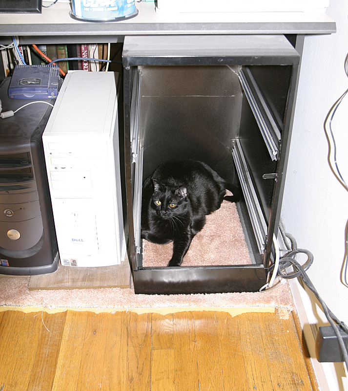 Taylor just climbs in empty file cabinet.