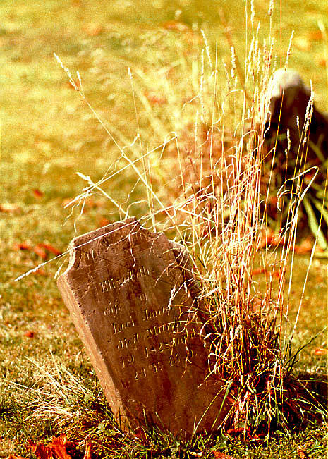 Tombstone - Ithaca Cemetery