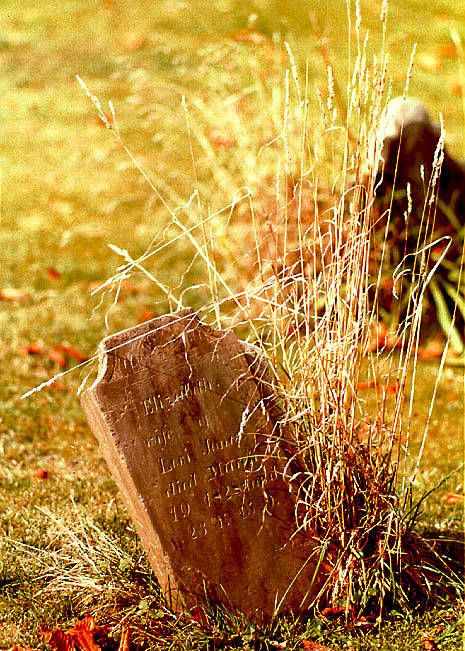 Tombstone, Ithaca, NY