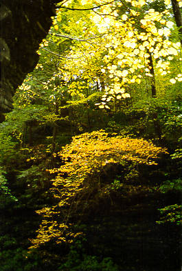 Watkins Glen, NY