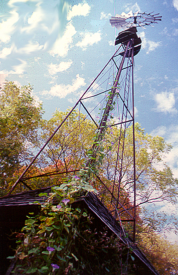 Windmill with clematis flowers, Chesterton, IN