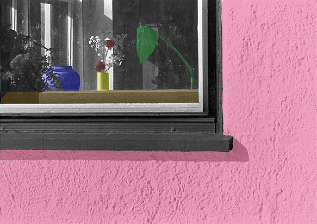 Window with plants, Ithaca, NY (hand colored)