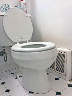 Toilet with new seat!