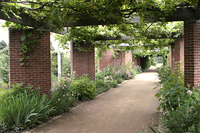 Arbor, wealth of plantings (everywhere!)