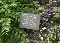 Traditional (left) and personal (center) info signs