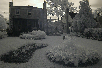 The Backyard Looks Hot in IR