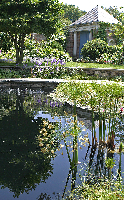 English Garden Pond