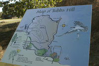 Tubbs Hill