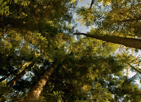 Kootenai National Wildlife Refuge