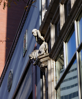 Unexpected Gargoyle