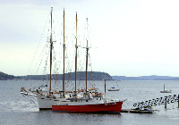 Margaret Todd - Sight-seeing boat