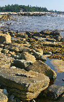 Tip of Mount Desert Island, ME