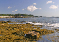 South end of Mount Desert Island, ME