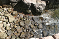 Shoreline, low tide.