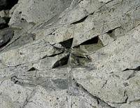 Coastal rock (limestone)