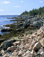 Maine Coastline, low tide