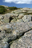 Weathered rocks, top of Cadillac Mountain