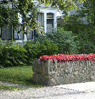 Wall-top planter