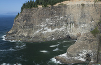 Cape Meares, OR - Cliffs north of lighthouse