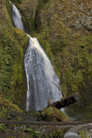 Upper Wahkeena Falls
