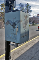 Junction Box well decorated