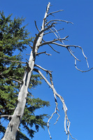Crater Lake, OR