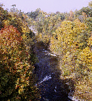 Autumn Colors, Fall Creek Gorge