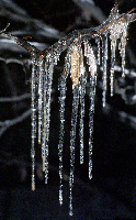 Ice Storm