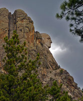 Profile Point