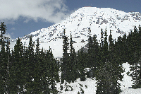 Mount Rainier from Southern Vista