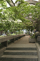 Inside Waterfall Garden Park; Looking East