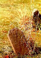 Tombstone - Ithaca Cemetery