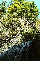 Upper Cascadilla Falls